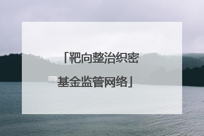 靶向整治织密基金监管网络