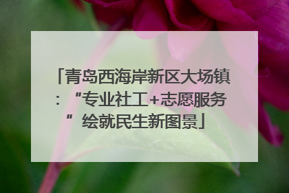 青岛西海岸新区大场镇：“专业社工+志愿服务”绘就民生新图景