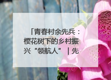 青春村余先兵：樱花树下的乡村振兴“领航人”｜先锋引领⑪
