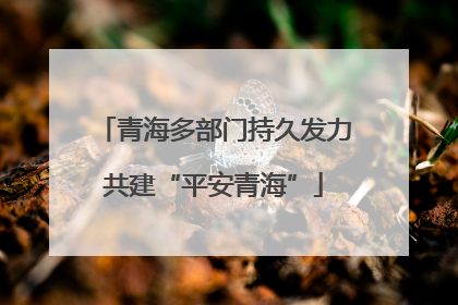 青海多部门持久发力共建“平安青海”