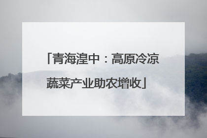 青海湟中：高原冷凉蔬菜产业助农增收