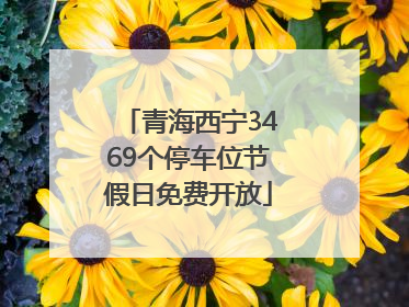 青海西宁3469个停车位节假日免费开放