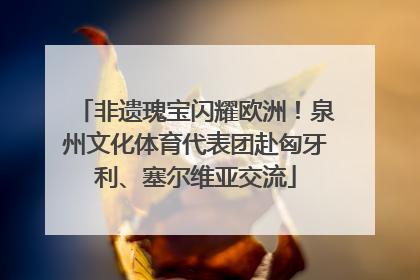 非遗瑰宝闪耀欧洲！泉州文化体育代表团赴匈牙利、塞尔维亚交流