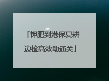 钾肥到港保夏耕 边检高效助通关