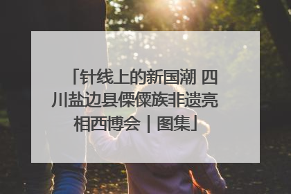 针线上的新国潮 四川盐边县傈僳族非遗亮相西博会｜图集