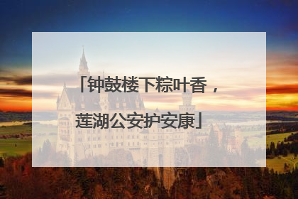 钟鼓楼下粽叶香，莲湖公安护安康
