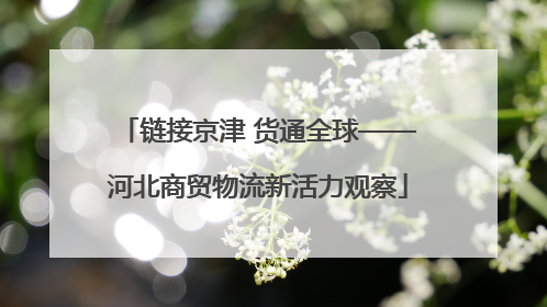 链接京津 货通全球——河北商贸物流新活力观察