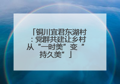 铜川宜君东湖村：党群共建让乡村从“一时美”变“持久美”