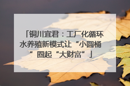 铜川宜君：工厂化循环水养殖新模式让“小圆桶”圈起“大财富”