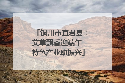 铜川市宜君县：艾草飘香迎端午 特色产业助振兴