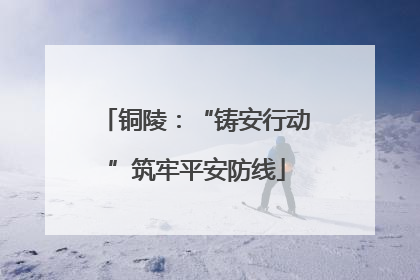 铜陵：“铸安行动”筑牢平安防线