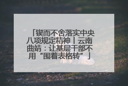 锲而不舍落实中央八项规定精神丨云南曲靖：让基层干部不用“围着表格转”