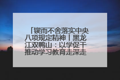 锲而不舍落实中央八项规定精神丨黑龙江双鸭山：以学促干推动学习教育走深走实 从小事入手写好“民生答卷”