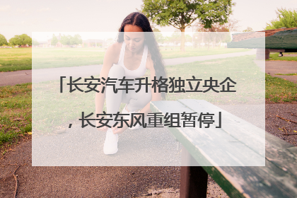 长安汽车升格独立央企，长安东风重组暂停