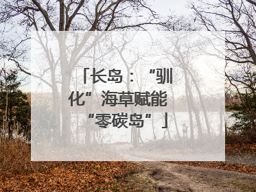 长岛：“驯化”海草赋能“零碳岛”
