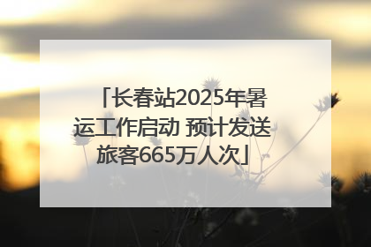 长春站2025年暑运工作启动 预计发送旅客665万人次