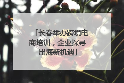 长春举办跨境电商培训，企业探寻出海新机遇