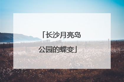 长沙月亮岛公园的蝶变