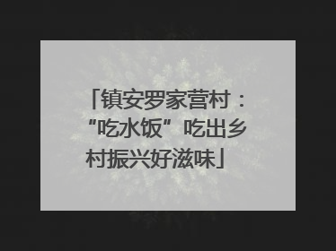 镇安罗家营村：“吃水饭”吃出乡村振兴好滋味