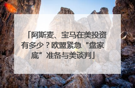 阿斯麦、宝马在美投资有多少？欧盟紧急“盘家底”准备与美谈判
