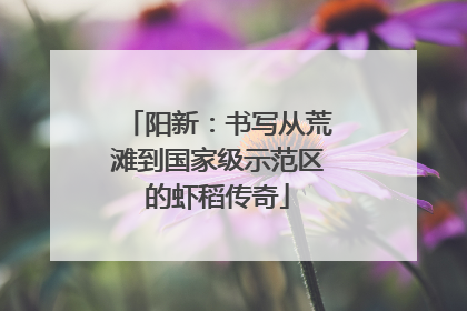 阳新：书写从荒滩到国家级示范区的虾稻传奇