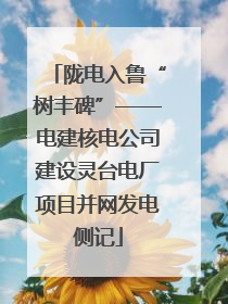 陇电入鲁“树丰碑”——电建核电公司建设灵台电厂项目并网发电侧记