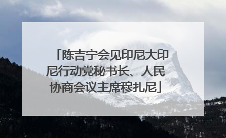 陈吉宁会见印尼大印尼行动党秘书长、人民协商会议主席穆扎尼