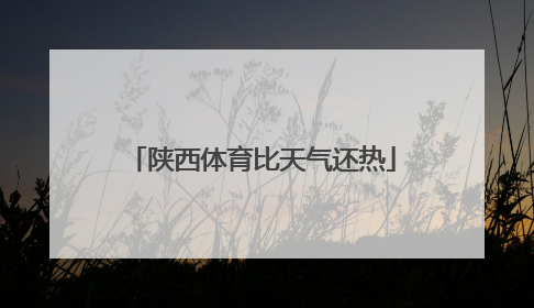 陕西体育比天气还热