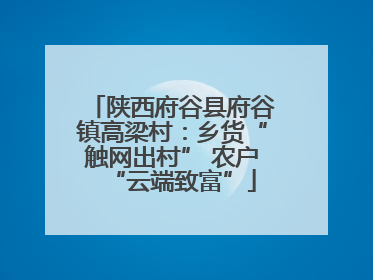 陕西府谷县府谷镇高梁村：乡货“触网出村” 农户“云端致富”