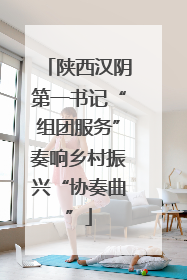 陕西汉阴第一书记“组团服务”奏响乡村振兴“协奏曲”
