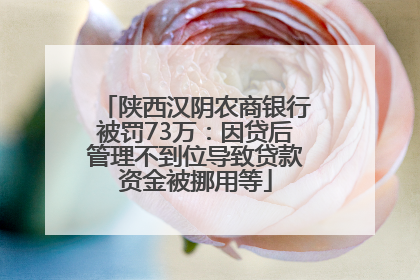 陕西汉阴农商银行被罚73万：因贷后管理不到位导致贷款资金被挪用等