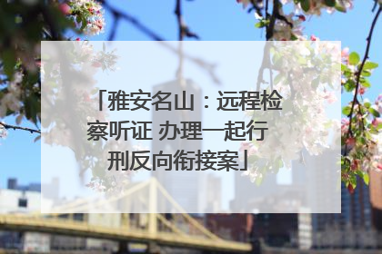 雅安名山：远程检察听证 办理一起行刑反向衔接案