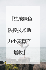 集成绿色防控技术助力小麦稳产增收