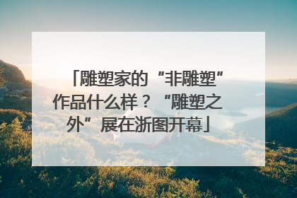 雕塑家的“非雕塑”作品什么样？“雕塑之外”展在浙图开幕
