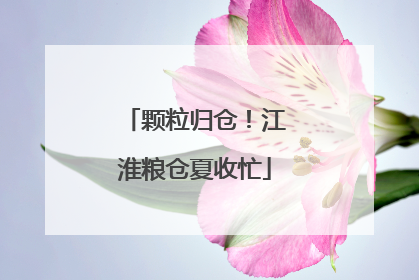 颗粒归仓！江淮粮仓夏收忙