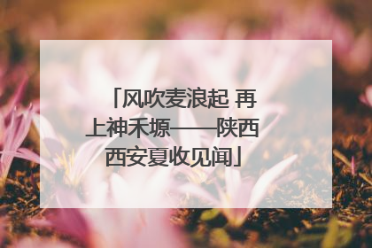 风吹麦浪起 再上神禾塬——陕西西安夏收见闻