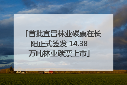 首批宜昌林业碳票在长阳正式签发 14.38万吨林业碳票上市