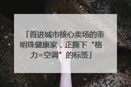 首进城市核心卖场的董明珠健康家，正撕下“格力=空调”的标签