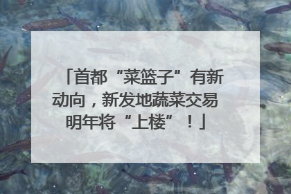 首都“菜篮子”有新动向，新发地蔬菜交易明年将“上楼”！