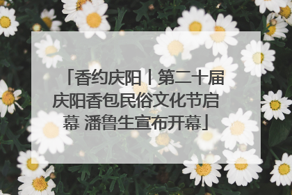 香约庆阳丨第二十届庆阳香包民俗文化节启幕 潘鲁生宣布开幕