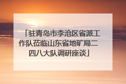 驻青岛市李沧区省派工作队莅临山东省地矿局二四八大队调研座谈