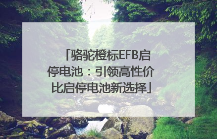 骆驼橙标EFB启停电池：引领高性价比启停电池新选择