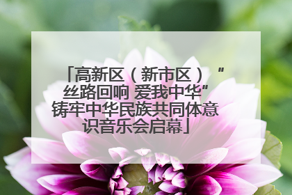 高新区（新市区）“丝路回响 爱我中华”铸牢中华民族共同体意识音乐会启幕