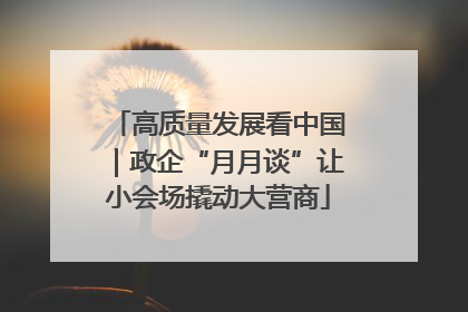 高质量发展看中国｜政企“月月谈”让小会场撬动大营商