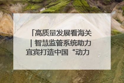 高质量发展看海关｜智慧监管系统助力宜宾打造中国“动力电池之都”