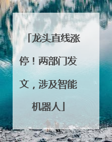 龙头直线涨停！两部门发文，涉及智能机器人