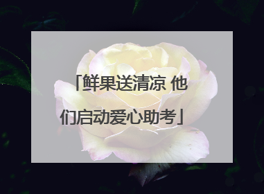鲜果送清凉 他们启动爱心助考