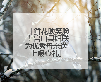 鲜花映笑脸！鲁山县妇联为优秀母亲送上暖心礼