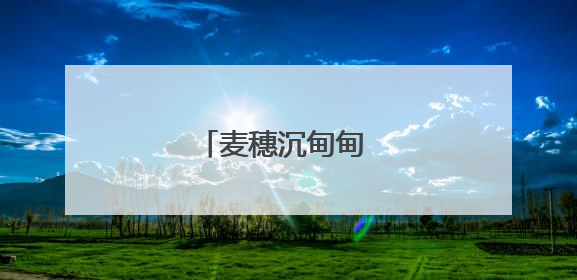 麦穗沉甸甸 粮安稳当当