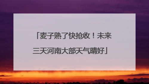 麦子熟了快抢收！未来三天河南大部天气晴好